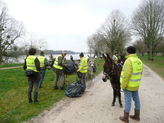 Loire propre 2014 (19).jpg